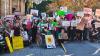 Australia: Albanese government prepares to ram through brutal attack on the disabled