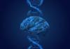 Registration open for URI Biomedical Engineering Symposium Aug. 14 