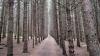 This northern Maine sanctuary sees thousands of visitors every year