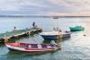 For Puerto Rico’s fishers, climate change isn’t the only challenge — being left to adapt alone is