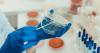 Scots-led study shows how ‘biological clock’ could contribute to age-related diseases