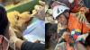 Puppy survives 5 days under Venezuela earthquake rubble, thanks rescuers with kisses