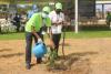 Ghana plants 1.3 million trees as Rainforest Alliance report highlights growing regenerative