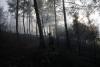 Two dead after wildfire guts house in northern Greece