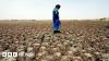Farming worries after India records driest June in over a decade