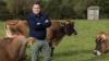 EU presidency an opportunity to champion Irish dairy sector – DII