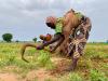 Hundreds Return to Kumalia After Terrorists Ban Farming 
