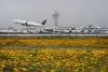 How Minnesota aims to become a global hub for sustainable aviation fuel