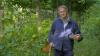 Monty Don tells gardeners to do one task to roses each day to make them thrive