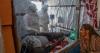 Ebola outbreak: UN projects $3.6 billion cost for Africa in worst case