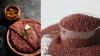 From forest fields to future plates: Kerala’s millet project aims to break new ground in India