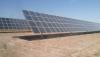 TCHAKAROV: New shade of success? Think Uzbek green!