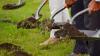 Government Breaks Ground for New Indian Church School Building