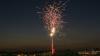 Why fireworks can be a death sentence for wildlife