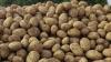 Syngenta, McDonald’s, McCain partner to modernize China’s potato supply chain with smart farming