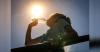 Heatwave linked to over 1,000 deaths as Spain records hottest first half of year