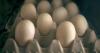 Iowa gets $90K in egg price gouging settlement