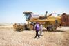 Human Appeal supports Syrian farmers through new wheat supply chain project