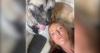 Dog Owner Investigated For Allegedly Tying Dog To A Lamppost During UK's Hottest Day Before Flying To Egypt