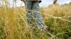 UK official health warning for UK residents to 'avoid' this