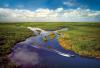 The Florida 20: Must-Do Sunshine State Staples