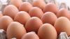 Food banks get 2-million eggs in price-fixing settlement