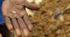 DR Congo strikes diamond deal with Swiss firm to boost local diamond processing