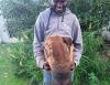 Reuniting a family: How volunteers are helping a man bring his beloved dog to Malawi