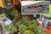 Adeje resident powerless to have home back after squatters turn it into cannabis farm