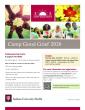 IU Health announces return of ‘Camp Good Grief’ to support children navigating loss