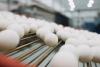 Cal-Maine reaches deal with DOJ over egg pricing