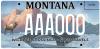 New license plate supports safe crossings for wildlife