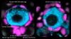 Can human egg cells be created from blood sample? Scientists say yes
