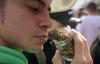 Why THC Percentage Is The Wrong Way To Shop For Cannabis