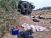 Malawi’s repatriation bus kills driver, injures 11 outside Musina