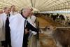 Belarus’ authoritarian leader pardons 28 political prisoners to ease ties with the West