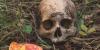 Cannibalism taboo evolved to save humanity from epidemics, scientists discover