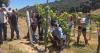 Local businesses help cultivate next-gen agricultural leaders | Guest Commentary