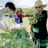 Gardeners go native