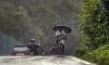 Red Alert: Dakshina Kannada Declares Holiday for Schools, PU Colleges...