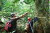 Carbon credits are moving up the boardroom agenda