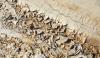 More than half of South Dakota is in drought, and the heat is drying soils, crops, and wallets