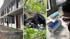 At Tanzania's Gombe, chimp urine from the forest turns into stress data within hours