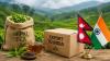 India Eases Import Rules As Nepal Resumes Tea Exports After 2-Month Suspension