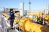 Russia begins importing Indian gasoline by sea to combat widespread fuel shortages - report