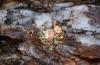 First Mining Receives Federal Approval for the Springpole Gold Project Environmental Assessment