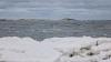 North Atlantic 'cold blob' isn't just surface cooling — scientists blame weakened heat flow