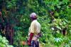 Planned LNG plant sparks water concerns among Thai farmers