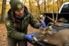 West Virginia seeks public comment on new wildlife disease rules affecting deer feeding