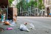 Is there such thing as a sustainable tourist?